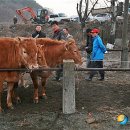 오향1리 이미지