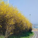 논산대로 이미지