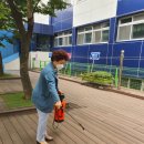 2020년6월 학교일대 방역작업 이미지