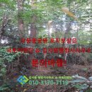 김시원 행정사사무소 이미지