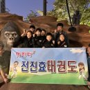 전진 효 태권도장 이미지