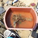 (주)날라주 이미지