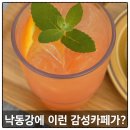 낙동강에 이런 감성카페가? 아는 사람만 안다는 &#39;진목카페&#39; 리뷰