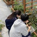 부산진여자중학교 이미지