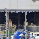 강아지본부 이미지