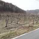 용부동산중개사무소 이미지