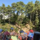 동산근린공원 이미지