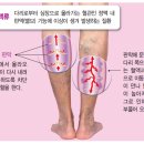 루아한의원 이미지