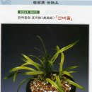 산여울 이미지