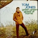 Green Green Grass of Home(고향의 푸른 잔디) ... Tom Jones 이미지