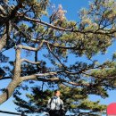 자작동 마을회관 | [경기포천] 포천의 진산 왕방산을 찾아서 : 왕방마을회관~오지재고개~해룡산(리턴) ~왕방산~국사봉~수위...