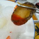 대일회식당 | 푸짐한 스끼다시와 모듬회가 완벽했던 대일횟집 제주도 현지인 맛집 대일횟집, 오마카세 부럽지 않은...
