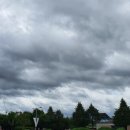 한가네종가집 이미지