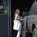 윌리스펫 이미지