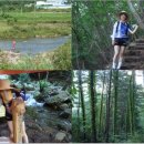 수성대민박 이미지