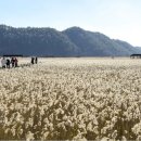 THE KING 더킹 이미지