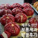 고성오조로 | 제주 성산 보룡제과 대파빵 내돈내산 후기