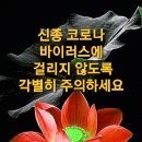 아내들이여~ 이미지