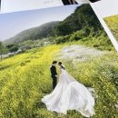 다이렉트 수원센터 스드메 방문 상담 및 계약 후기