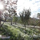 산청 동의보감촌 이미지