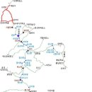도로원점삼거리 이미지