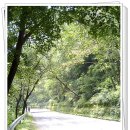 소양댐 주차장(정상) 이미지