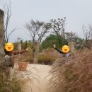 인이스테이 이미지