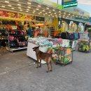 호텔 행아웃 이미지