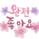 [3/15] 정리수납 2급 자격증 과정 이미지