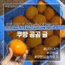 [내돈내산 솔직후기] 쿠팡 곰곰 귤 당도선별 11brix 감귤 살짝 싱거운 듯한 귤? 재구매의사