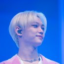 스테이(D) 이미지