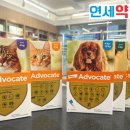 우리연세약국 네이버블로그