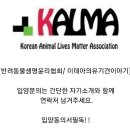 행복하개 밝개 자신있개 이미지