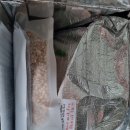 수제청맛집 '꼬숩네 율이엄마' 유자청, 간식추천!