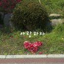 매직셀프빨래방 | 셀프 웨딩 하겠다고 하면 당장가서 말려,,
