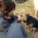 직전농장 이미지