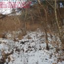 율리보건진료소 이미지