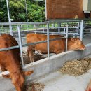 하누농장 이미지