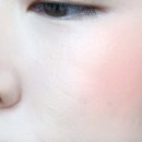 핑키플로리아 이미지