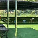 대평면다목적체육관 이미지