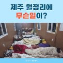 제주 월정리 용천 동굴을 지켜주세요 이미지