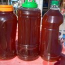 민등농장 이미지