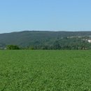 애련농장 이미지