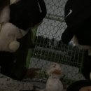 아침맑음한의원 | 비 온 뒤 맑음