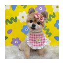 멍앤리치 이미지