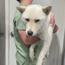 화산네거리 이미지