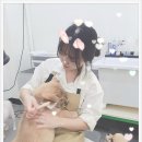 사랑펫살롱 이미지