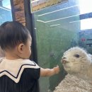 은우농장 | 수원 수달앤쥬 다녀온 솔직후기! 아이랑 가볼 만할까?