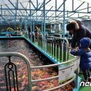 福드림