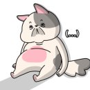 대복야식 네이버블로그